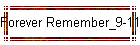 Forever Remember_9-11-01